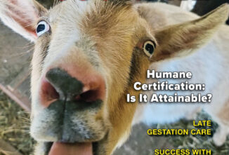 Goat Journal Digital Issue 21